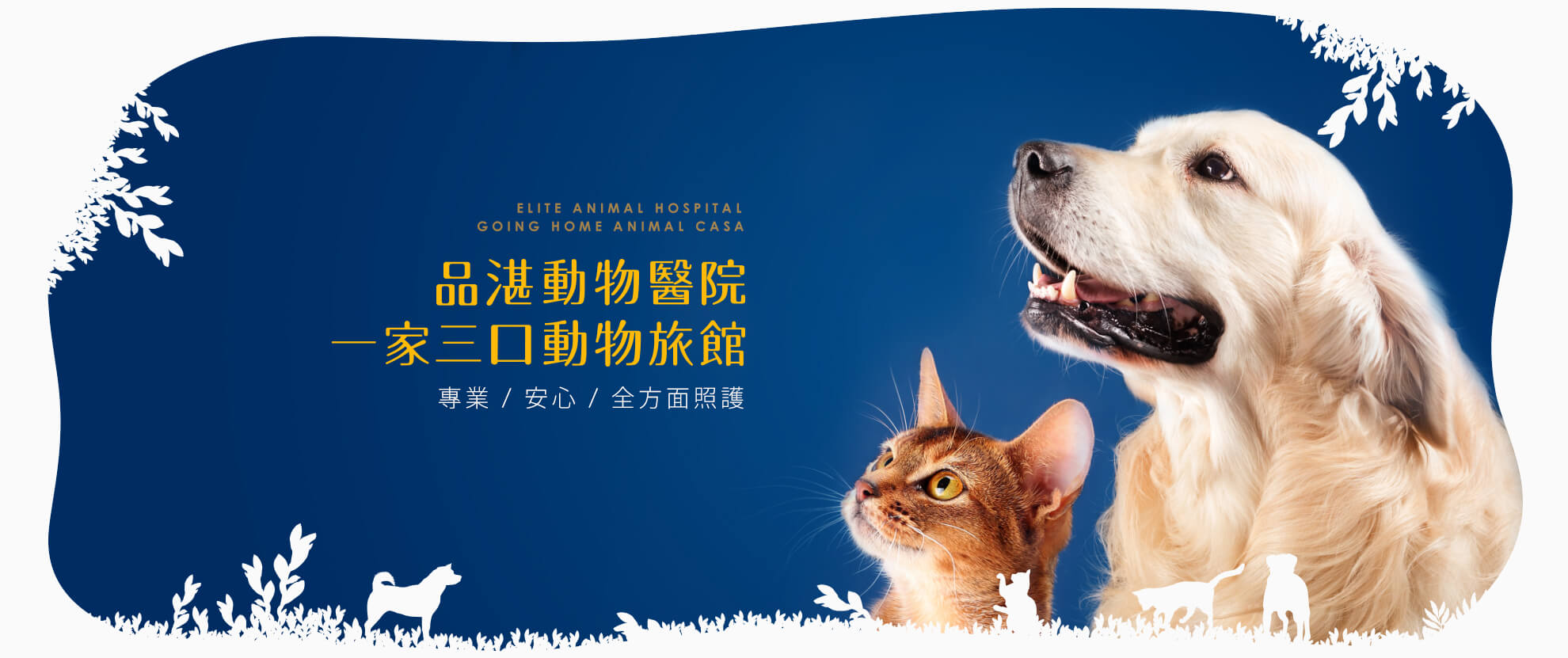 品湛動物醫院 一家三口動物旅館