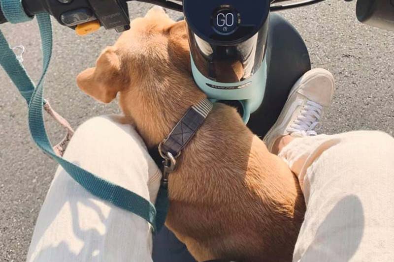 【健康檢查】一般門診