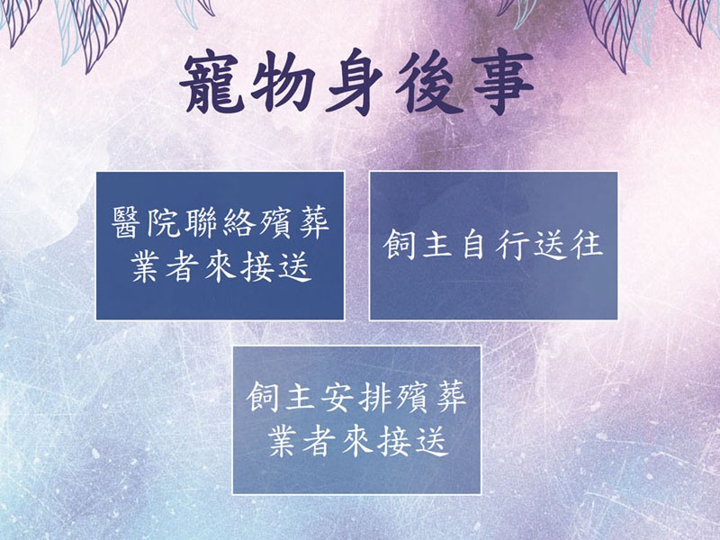 寵物身後事
