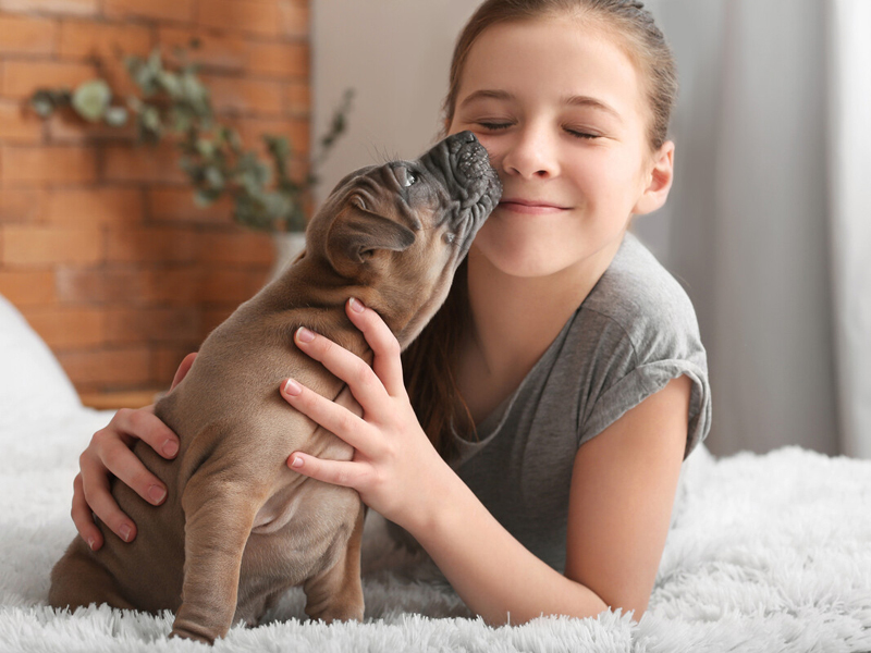 毛小孩的健康警訊：喘氣、嘔吐、精神不振、發抖，飼主必知！