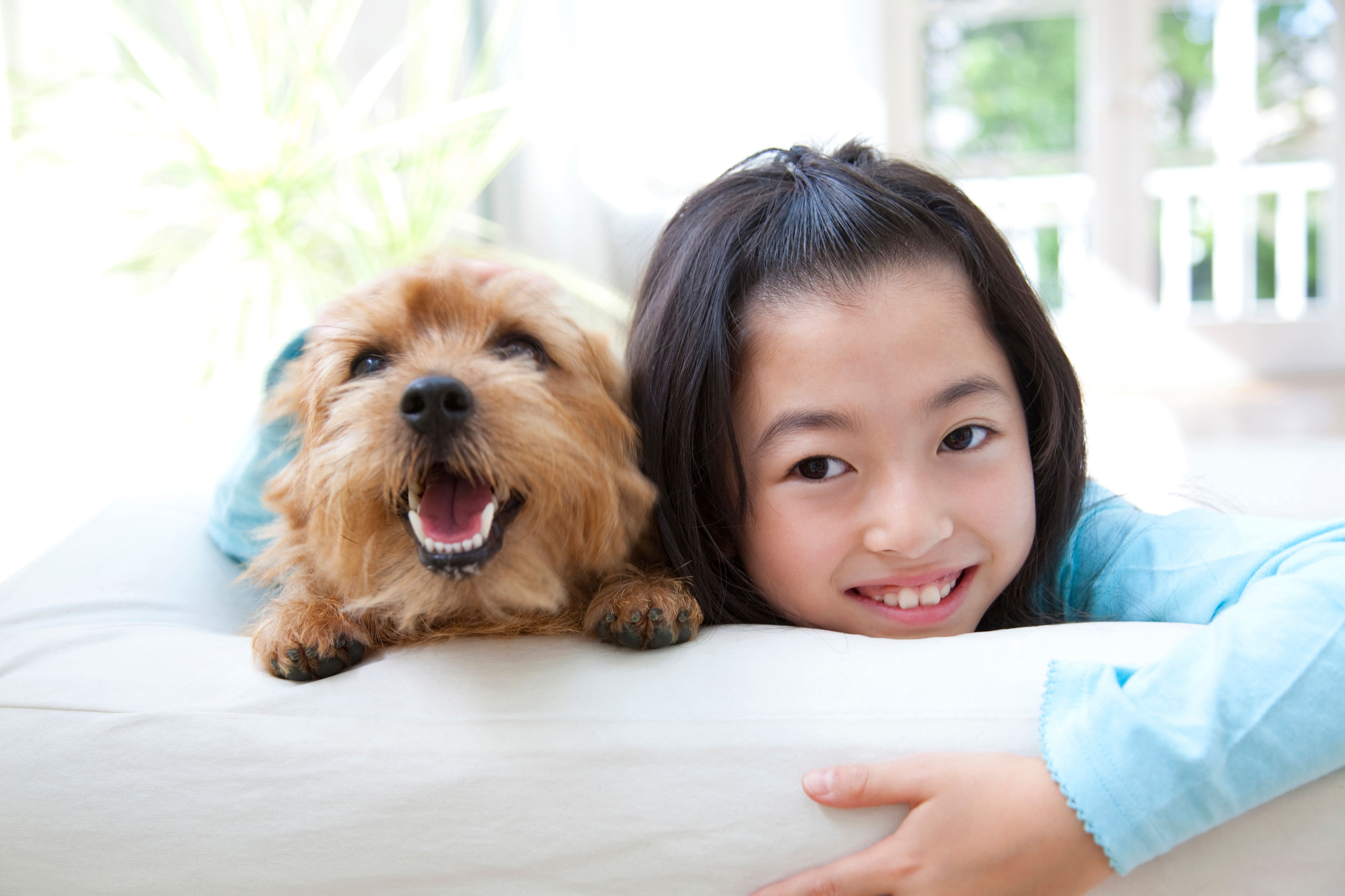 狗狗突然嘔吐怎麼辦？從嘔吐原因到腸胃照護，一次搞懂！